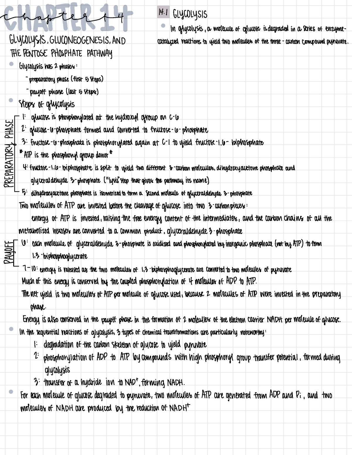 Chapter 14 Notes On Glycolysis And Gluconeogenesis - 4 14. GLYCOLYSIS ...