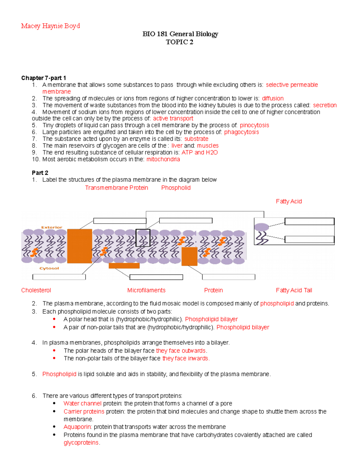 HW Activity CH 7 - Week 7 Homework - Macey Haynie Boyd BIO 181 General ...