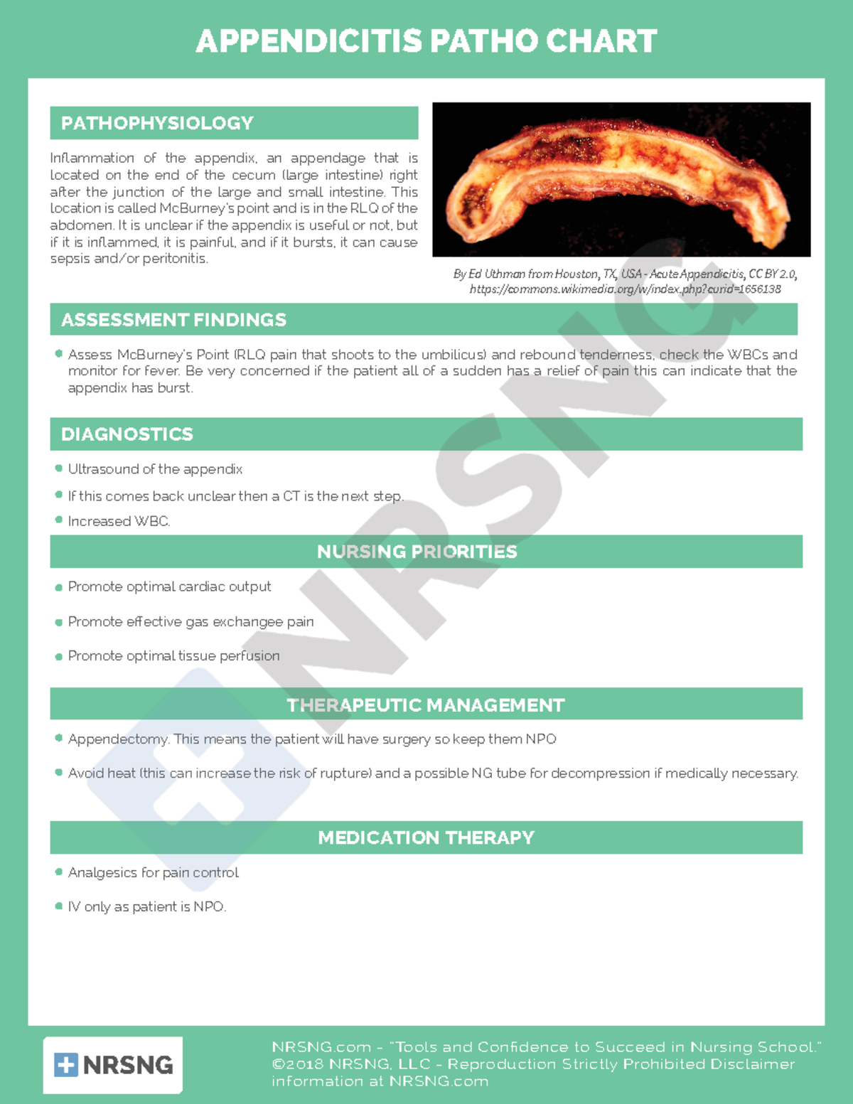 Cs-gi-005-appendicitis Patho Chart - APPENDICITIS PATHO CHART ...