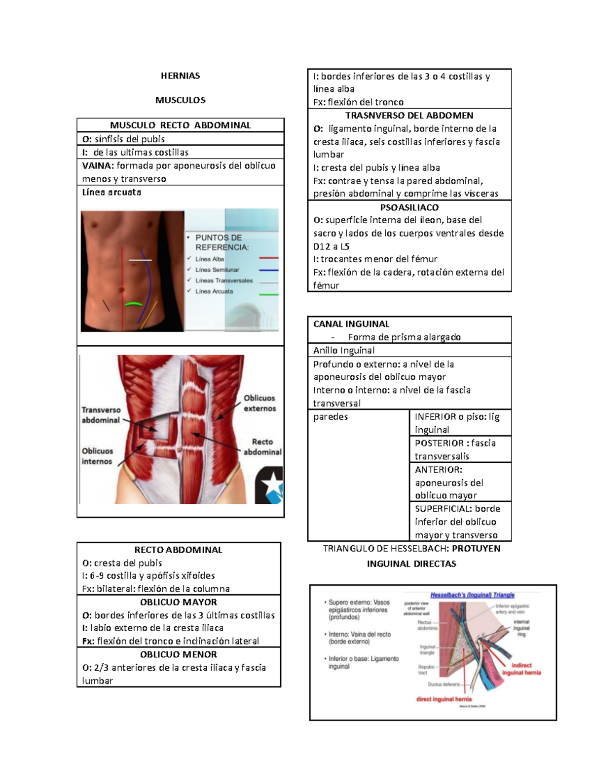 Resumen Hernias (2). - HERNIAS MUSCULOS MUSCULO RECTO ABDOMINAL O