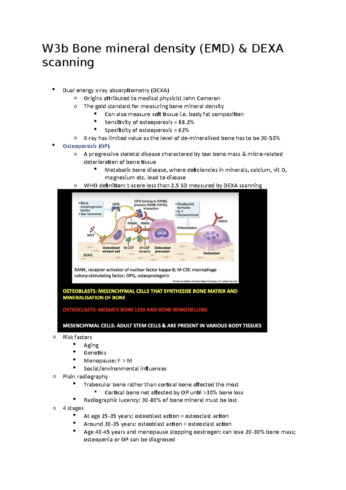 W3b Bone mineral density - W3b Bone mineral density (EMD) & DEXA ...