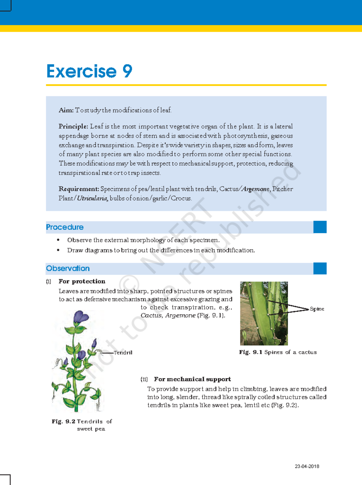 modification-of-leaf