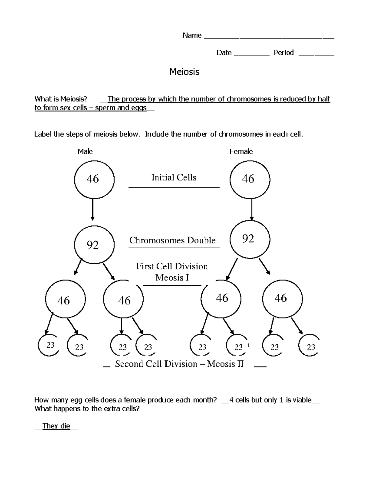 Meiosis notes complete - Name _________________________________ Date ...