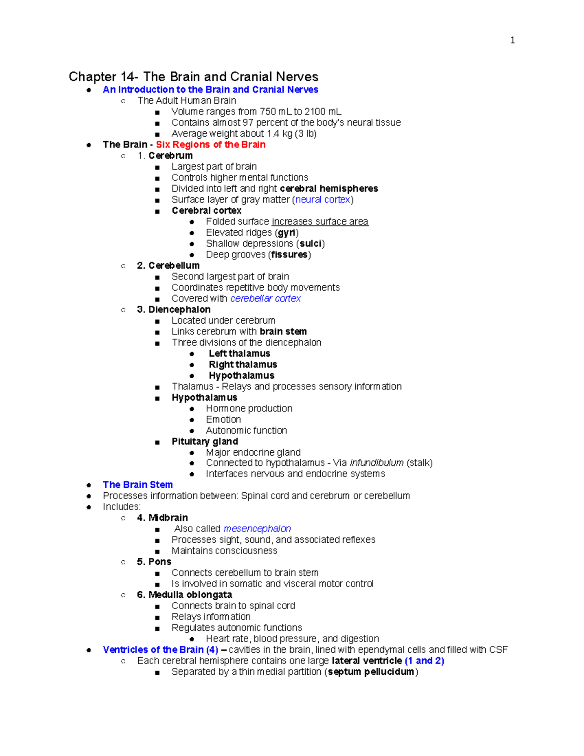 A P Exam 4 Notes - Chapter 14- The Brain and Cranial Nerves An ...