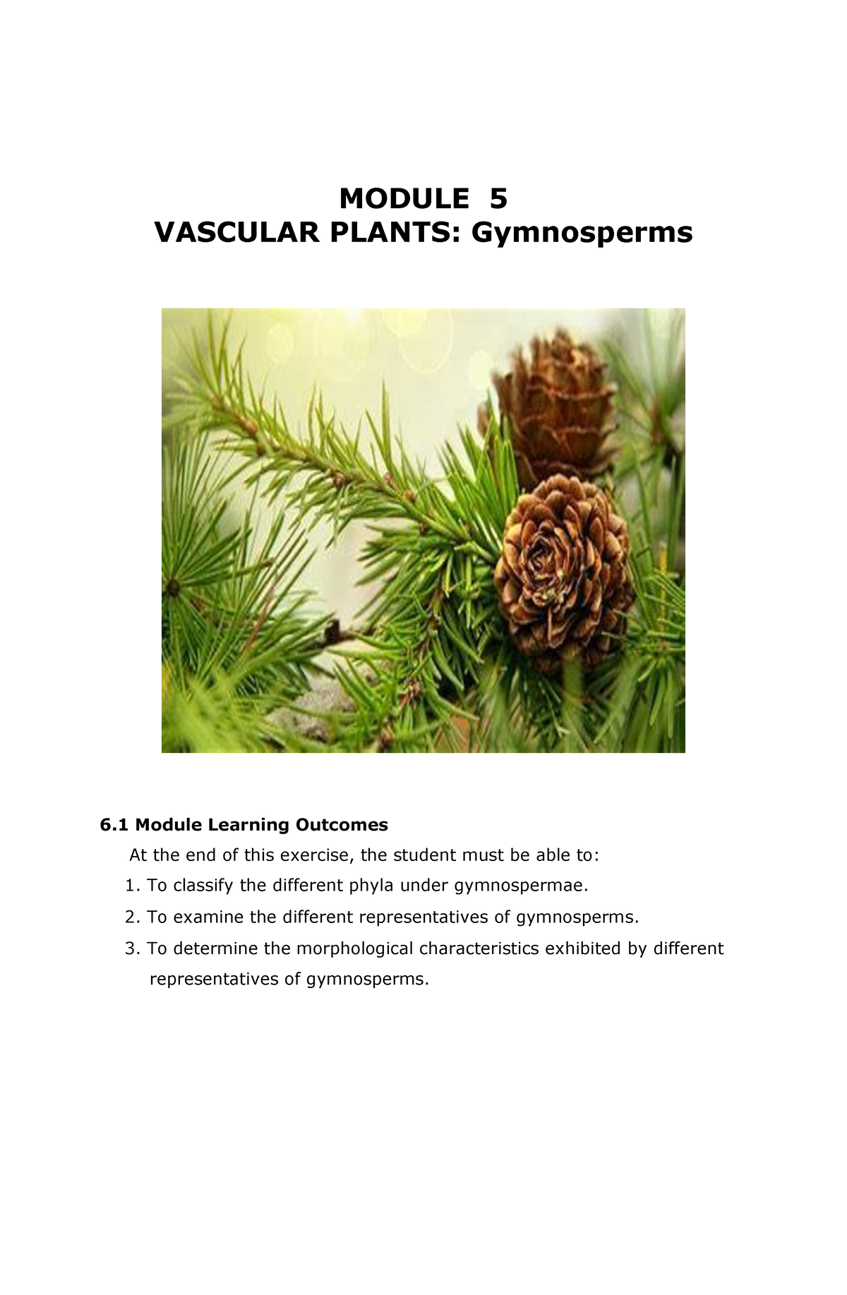 Module-Gymnosperms - Gymnosperms Notes - MODULE 5 VASCULAR PLANTS ...