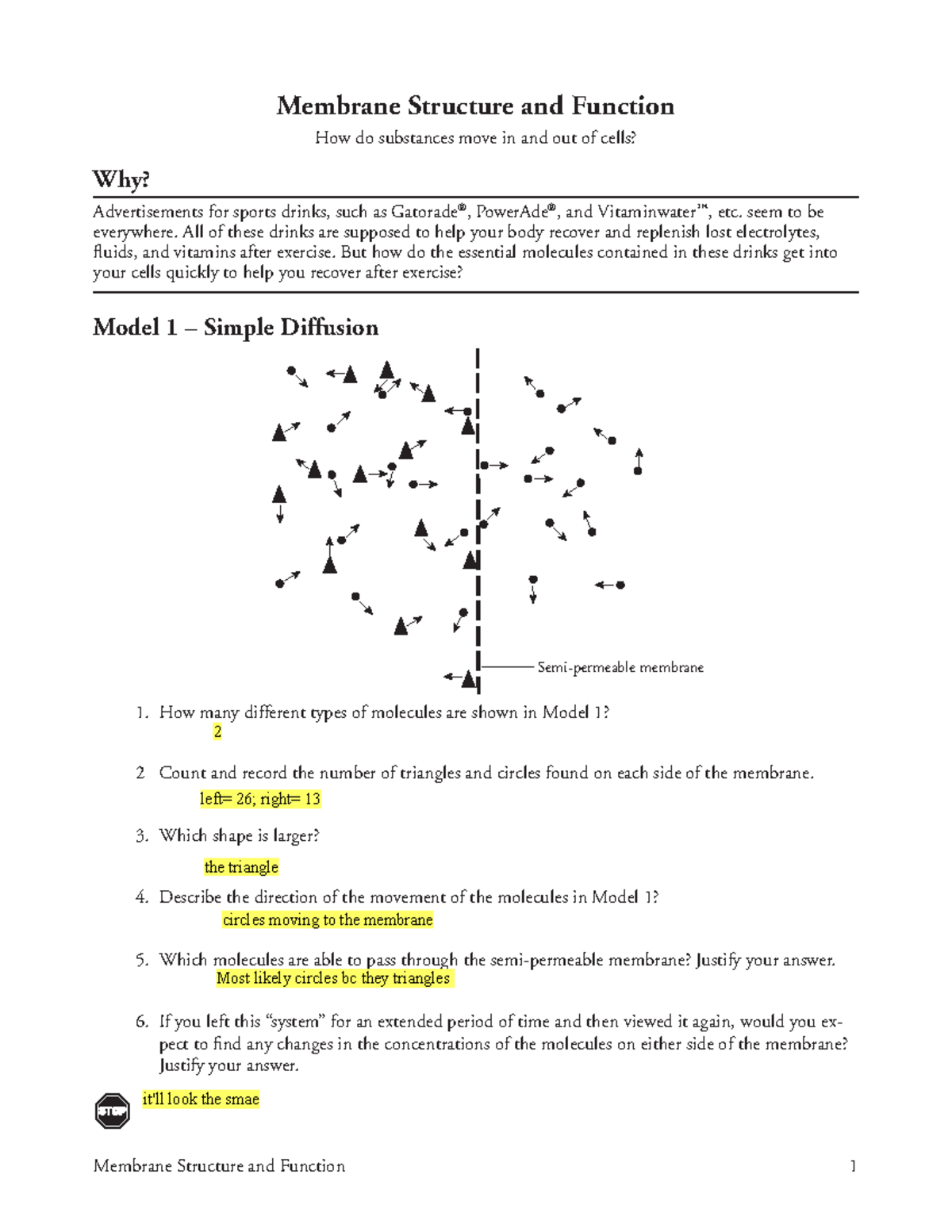 Biology 1 - Types of Diffusion Activity KEY - Membrane Structure and  Function 1 Membrane Structure - Studocu