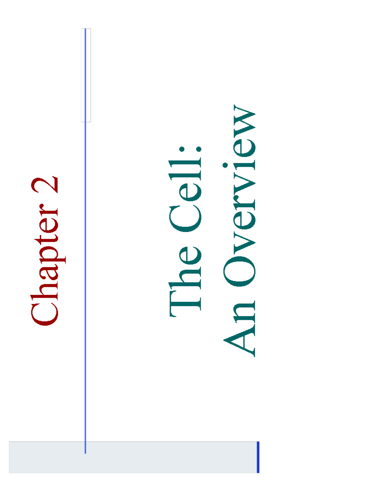 Chapter 2 - The Cell - The Cell: An Overview Chapter 2 What is the ...
