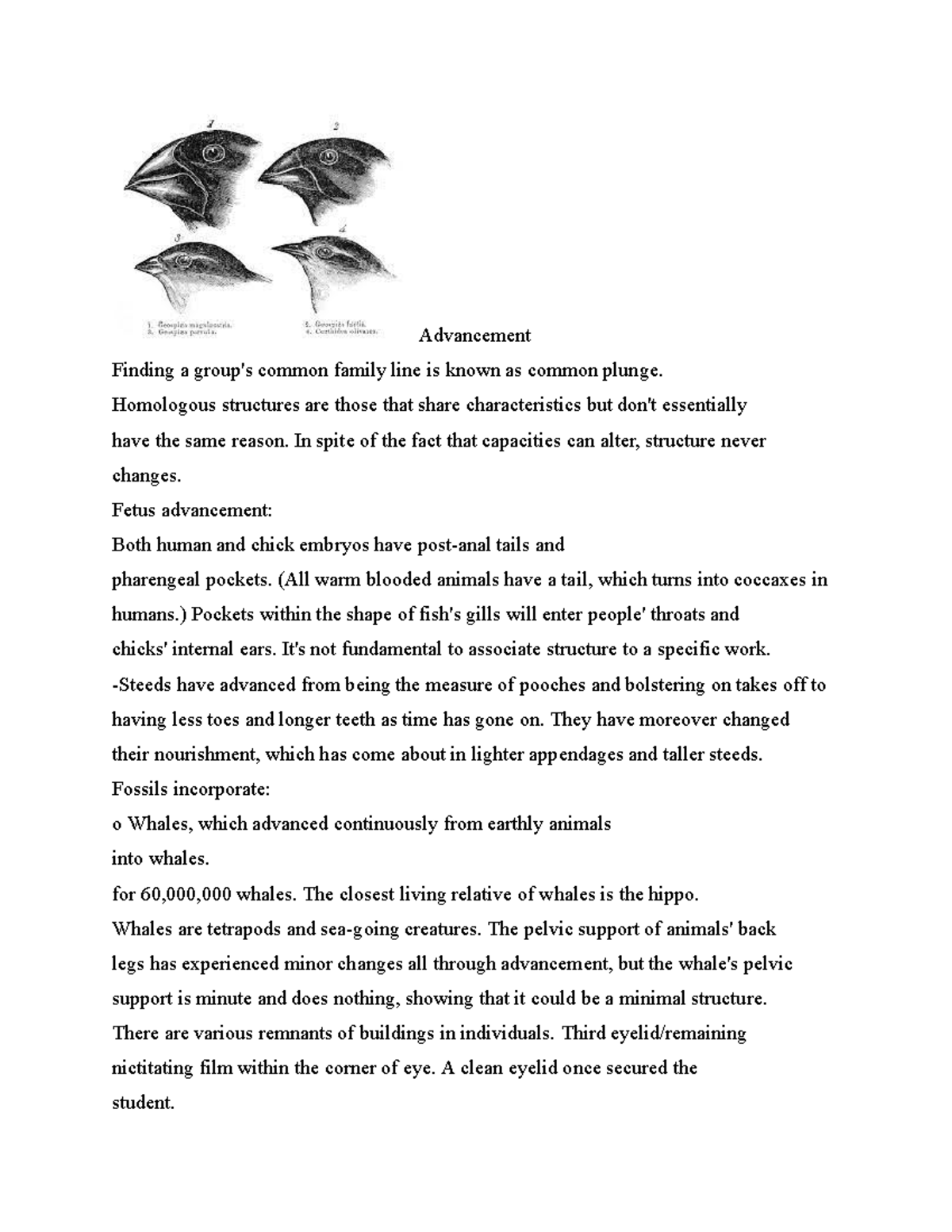 Evolution - Advancement Finding a group's common family line is known ...