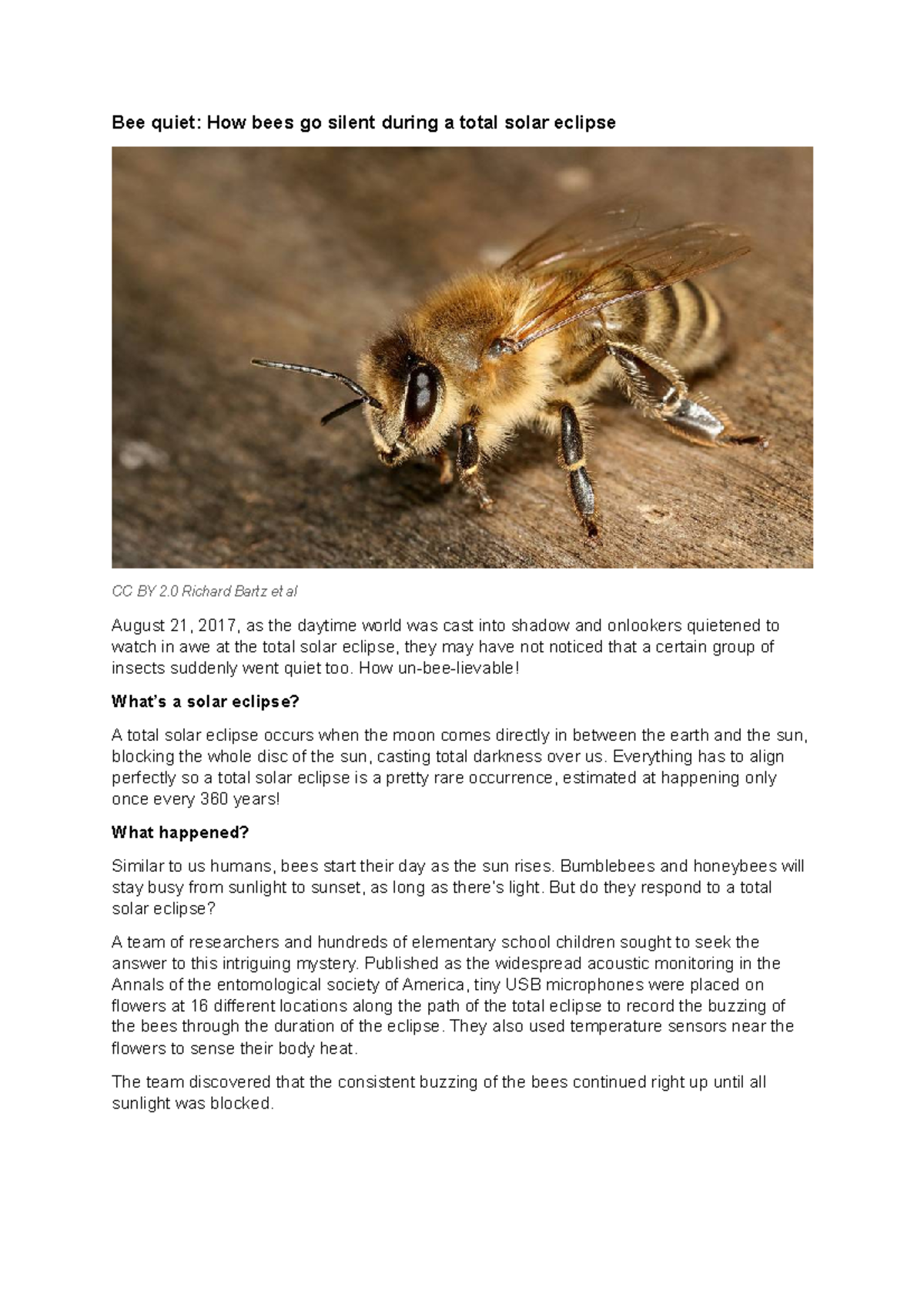 SCIE - Science communication module blog posts - Bee quiet: How bees go ...