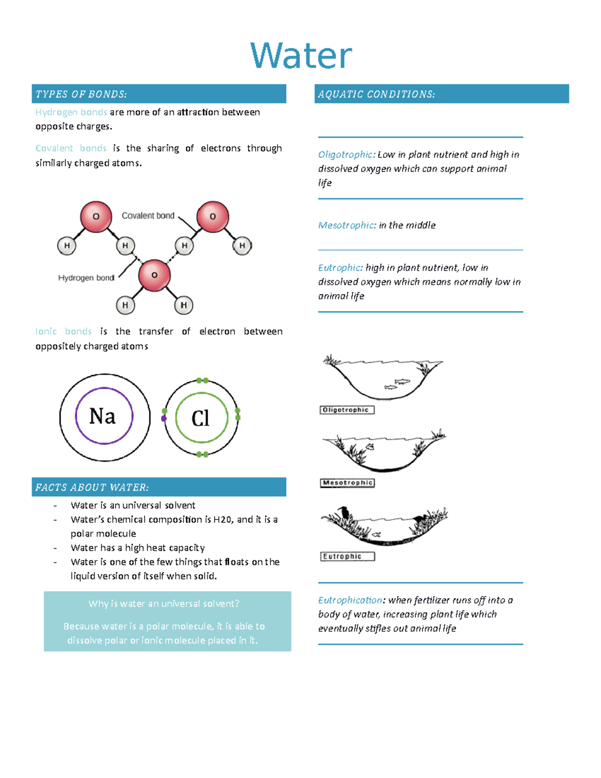 Water - Water TYPES OF BONDS: Hydrogen bonds are more of an attraction ...