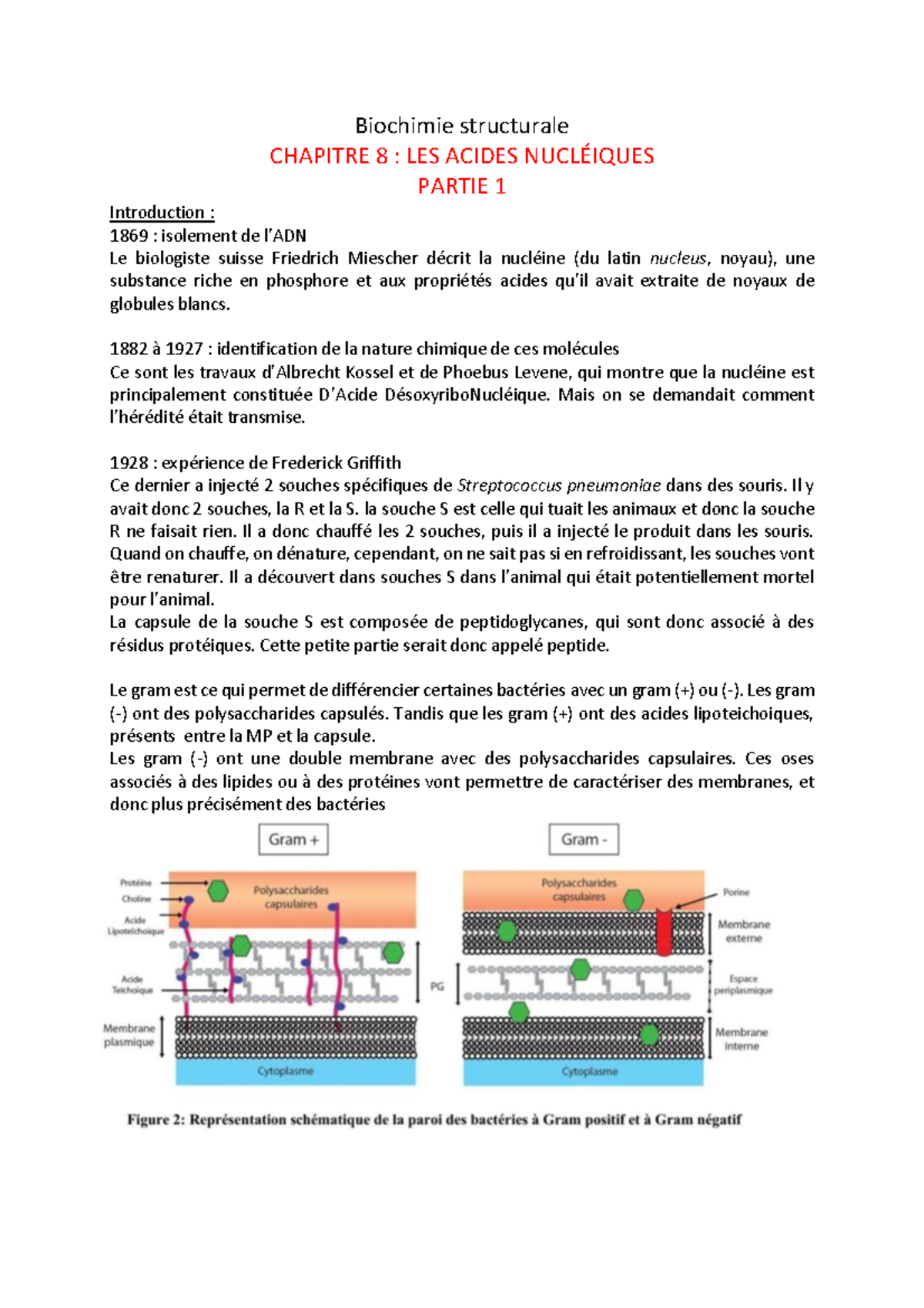 CHAP 8 Biochimie Structurale - Biochimie Structurale CHAPITRE 8 : LES ...