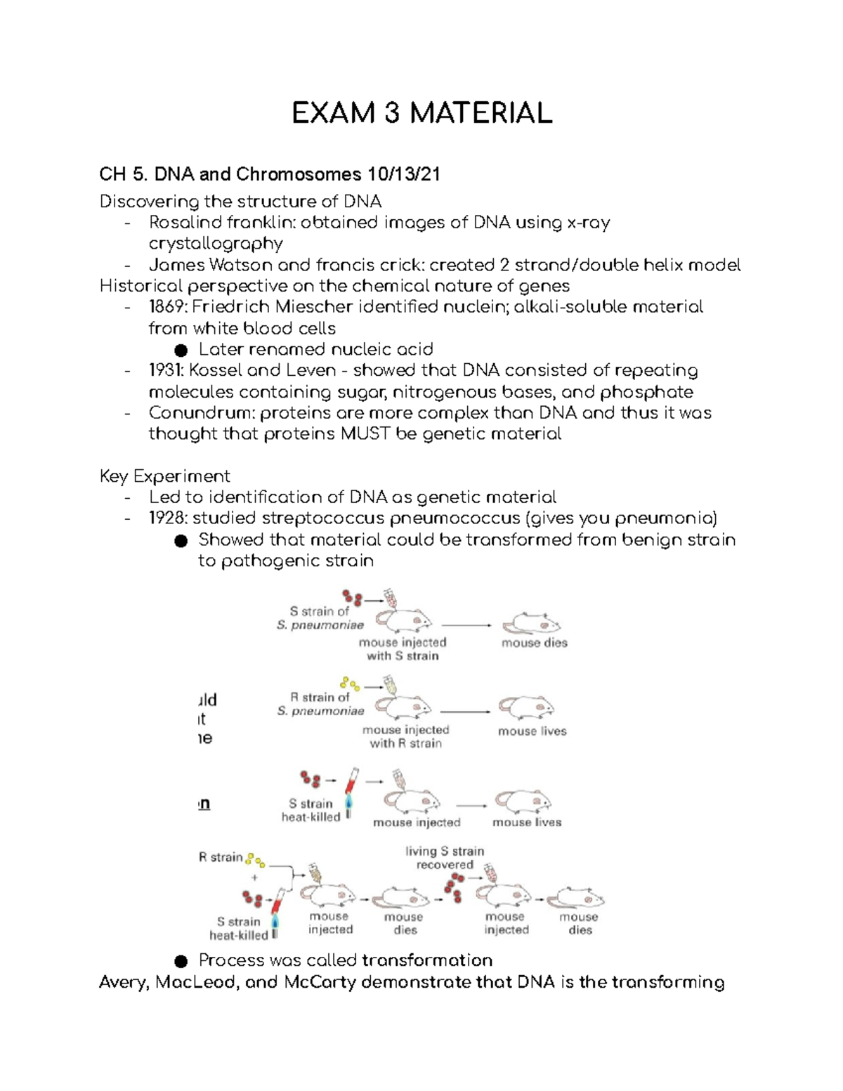 BIO 213 Exam 3 Lecture Notes - EXAM 3 MATERIAL CH 5. DNA And ...