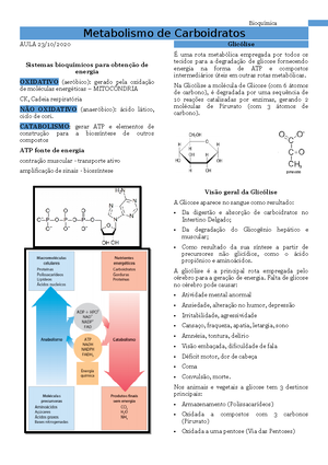 Resumo De Metabolismo De Carboidratos Em Ruminantes - Metabolismo De ...