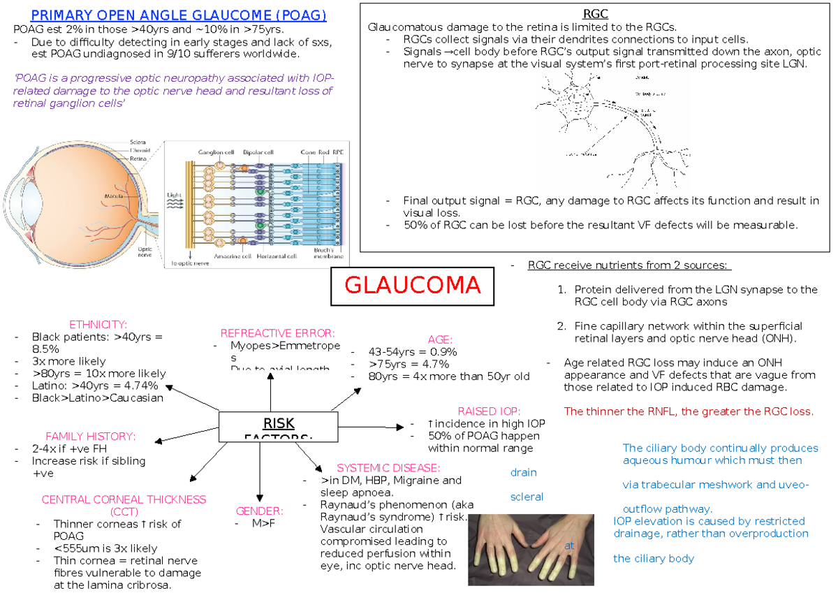 Glaucoma - Summary Management of Ocular Disease - PRIMARY OPEN ANGLE ...