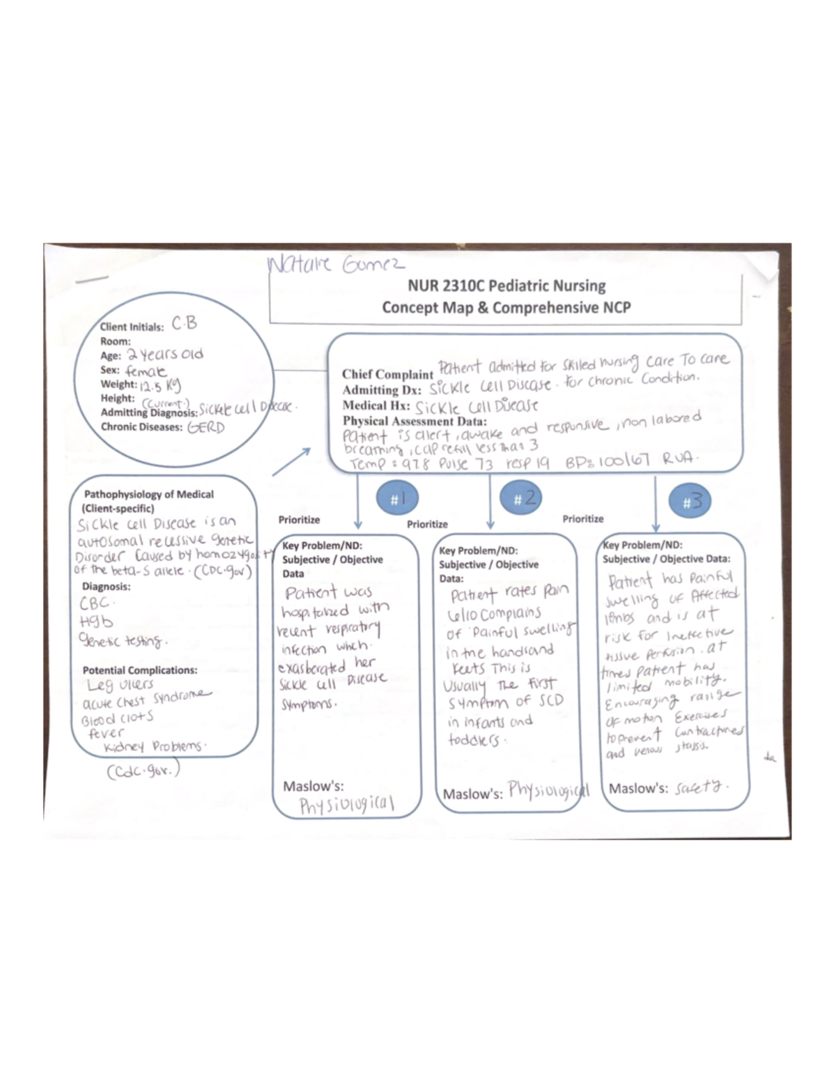 PEDS concept map - Studocu