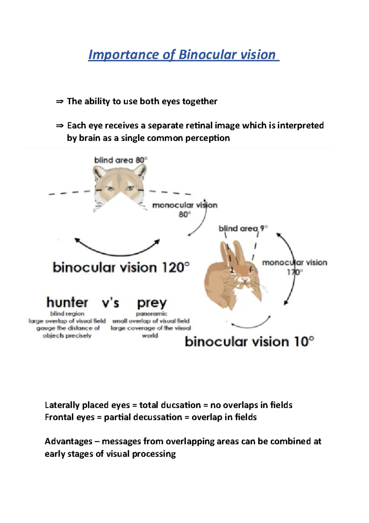 Importance of Binocular vision Studocu