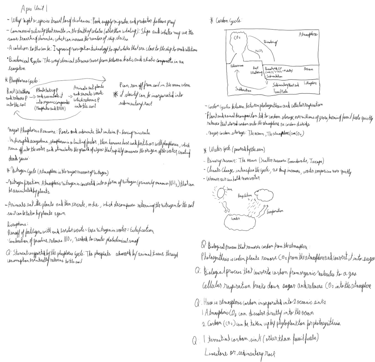 APES Unit 1 Summaries 2 - Chapter Summary. - EVR 1001 - Studocu