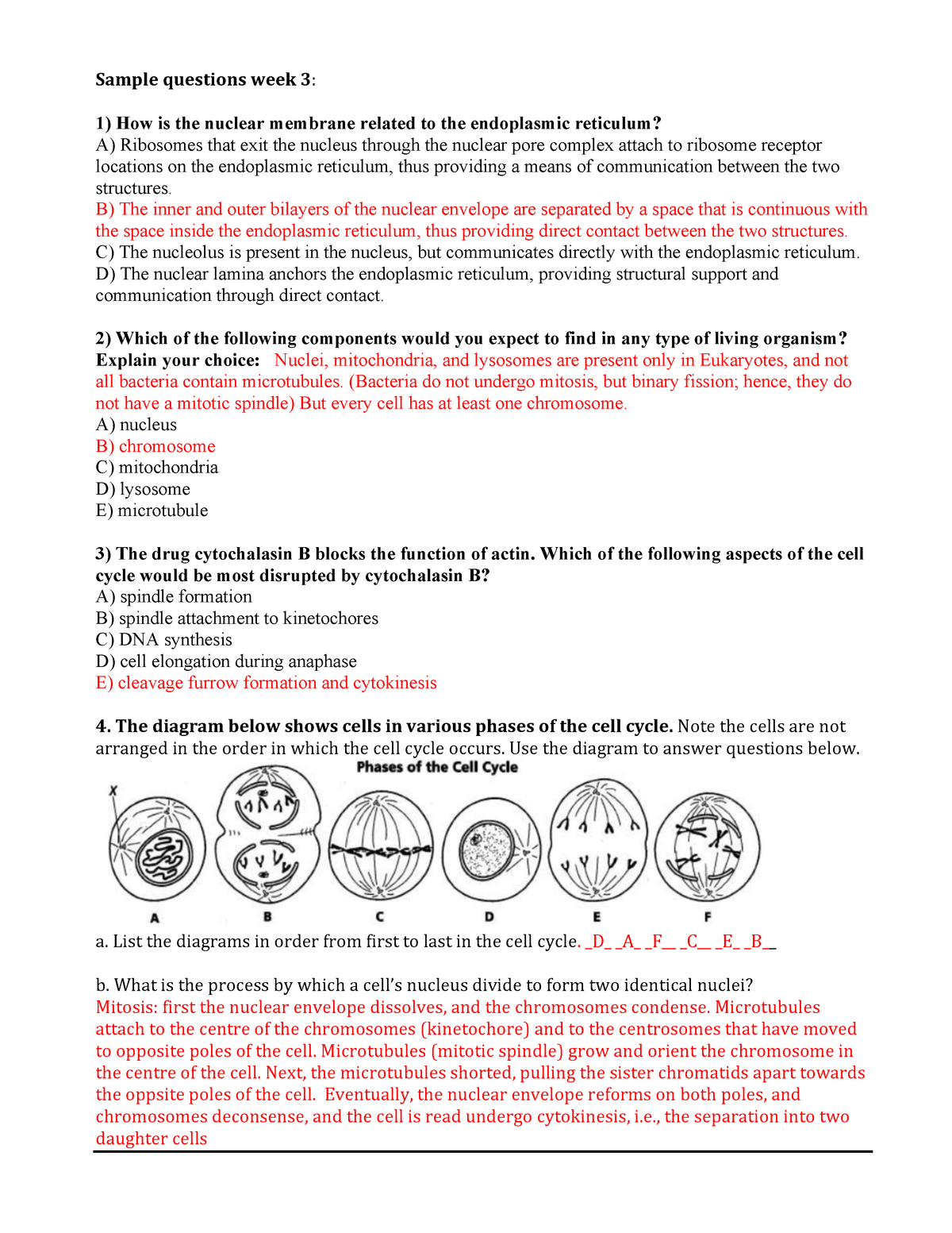 Answers Sample Questions Week 3 Studocu