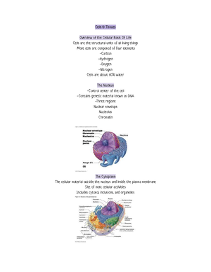 Dichotomous key lab modified - Dichotomous Keys: Cells and Viruses Dry ...