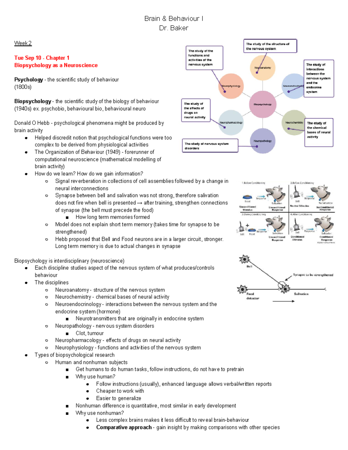 PSYC271 Week 1 to 3 Notes - Brain & Behaviour I Dr. Baker Week 2 Tue ...