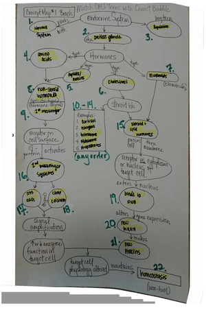 Human AP Lab 9 - Label the following kidney model - BIOL 2020 - Renal ...