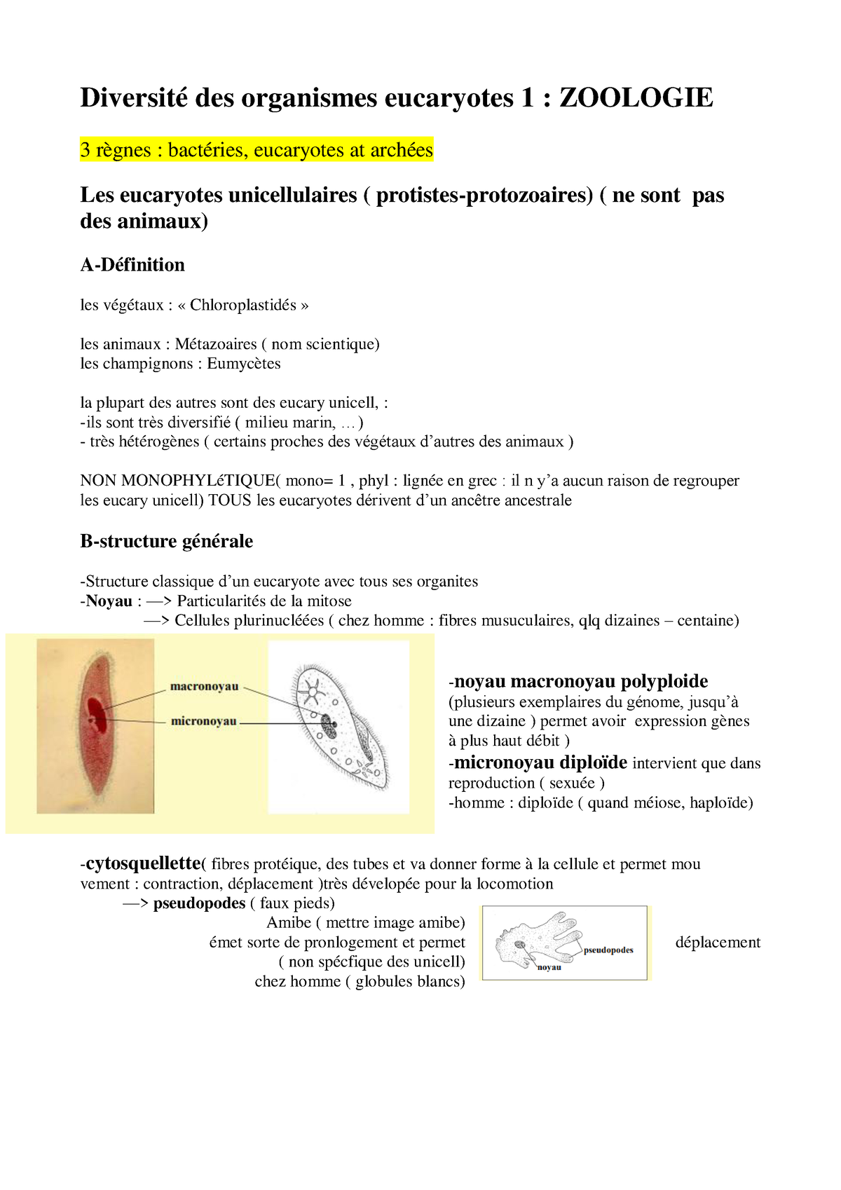 Les Eucaryotes Unicellulaires Approche Générale - Diversité Des ...