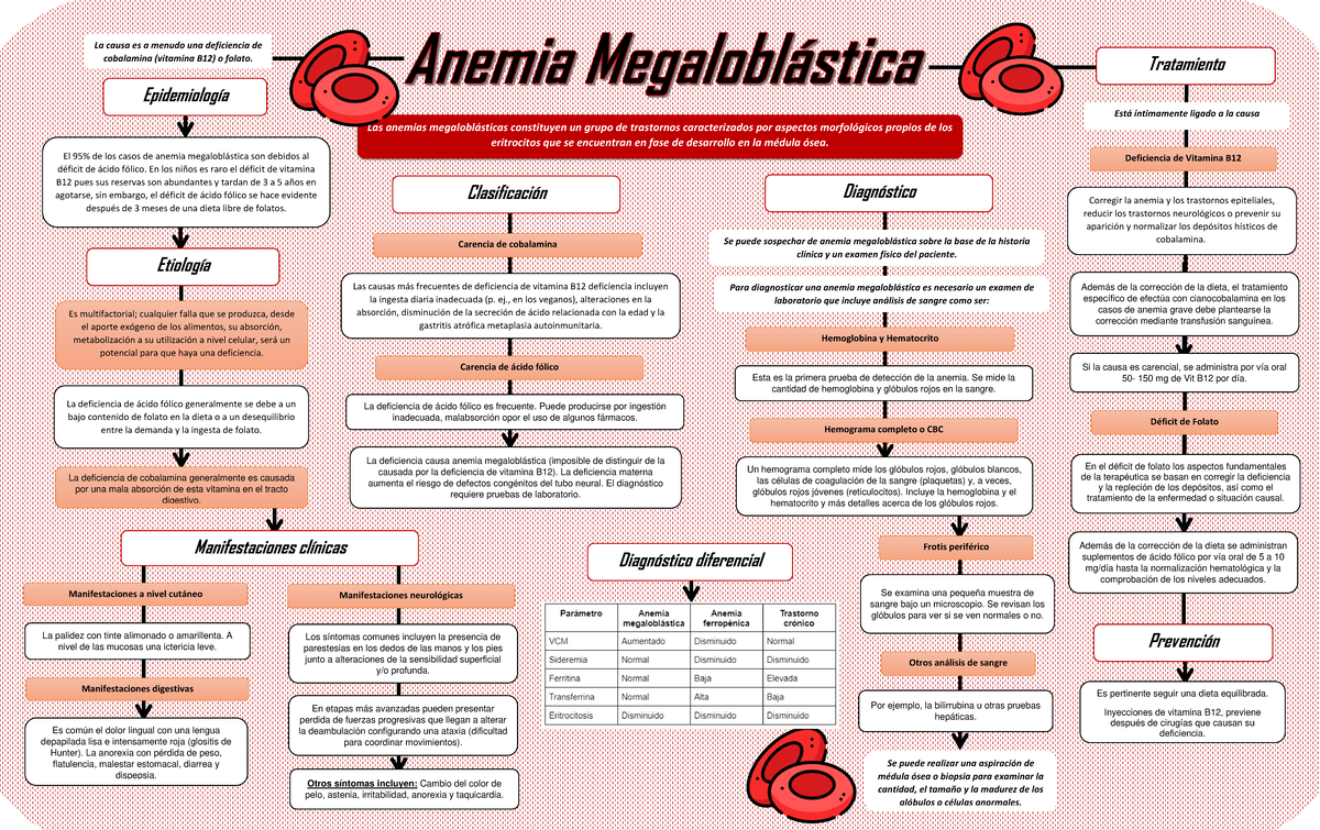 Anemia Megaloblástica - Etiología Es multifactorial; cualquier falla