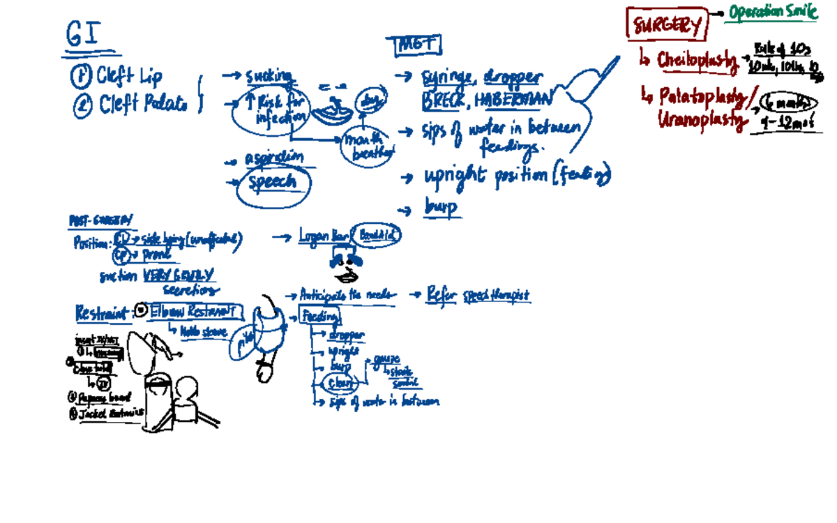 Goodnotes 1 02 29 24 - lecture notes - Medical Surgical Nursing - Studocu