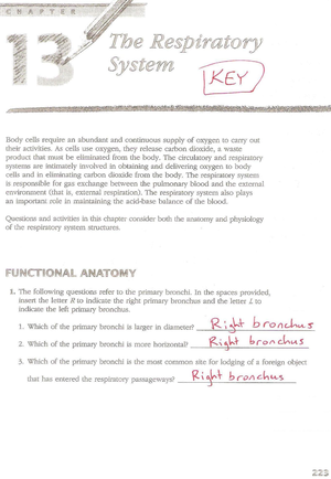 KEY Cardiovascular System Review - a YF The Cardiovascular The major ...