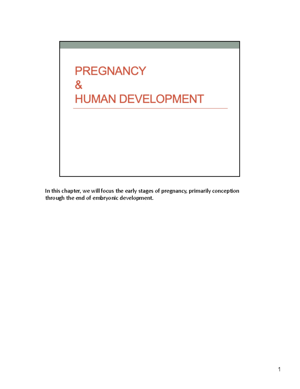 Chapter 28 Pregnancy - Notes - In This Chapter, We Will Focus The Early ...