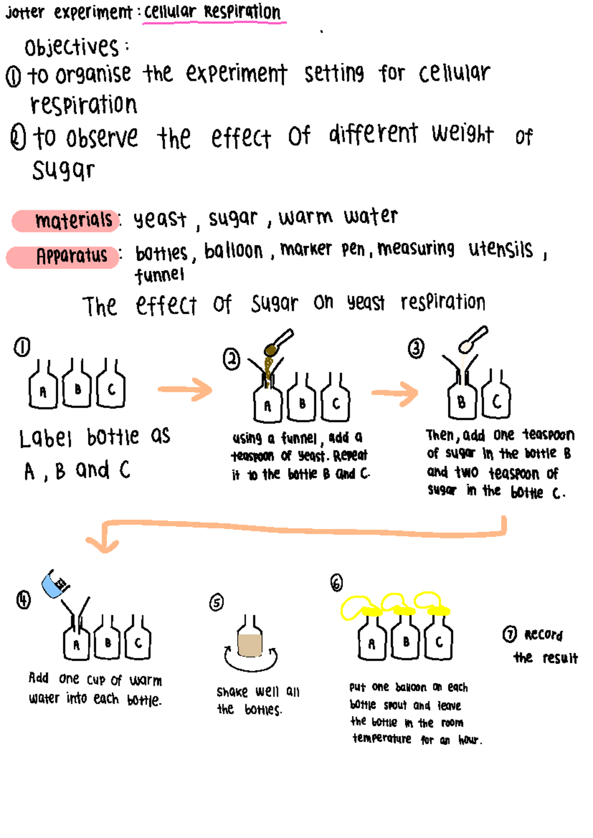 Jotter yeast fermentation - ####### jotter experiment : ellular ...