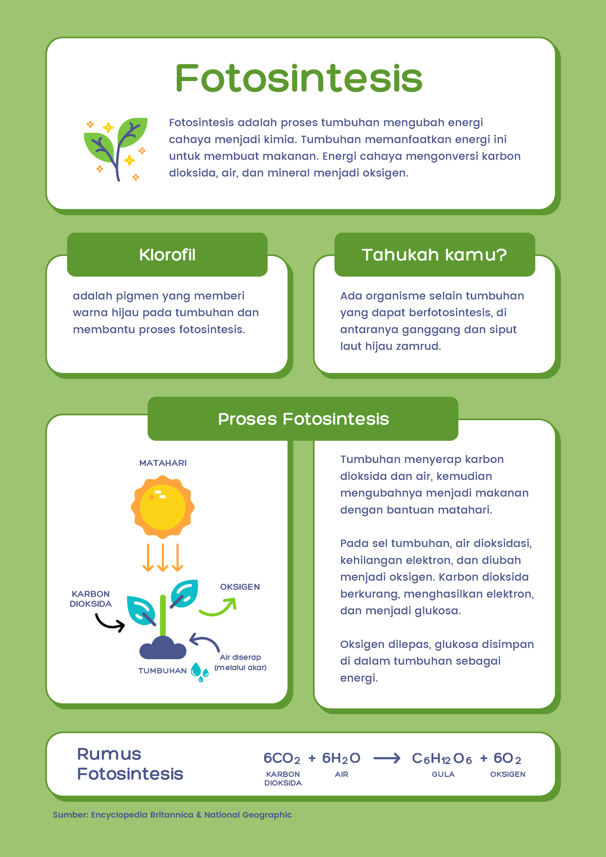 Fotosintesis - Tumbuhan Menyerap Karbon Dioksida Dan Air, Kemudian ...