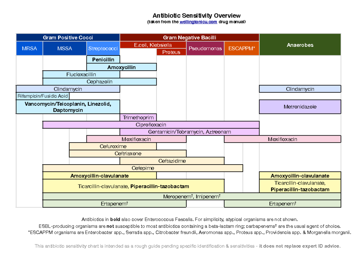 AntibioticOverview antibiotic Antibiotics in bold also cover Enterococcus Faecalis. For