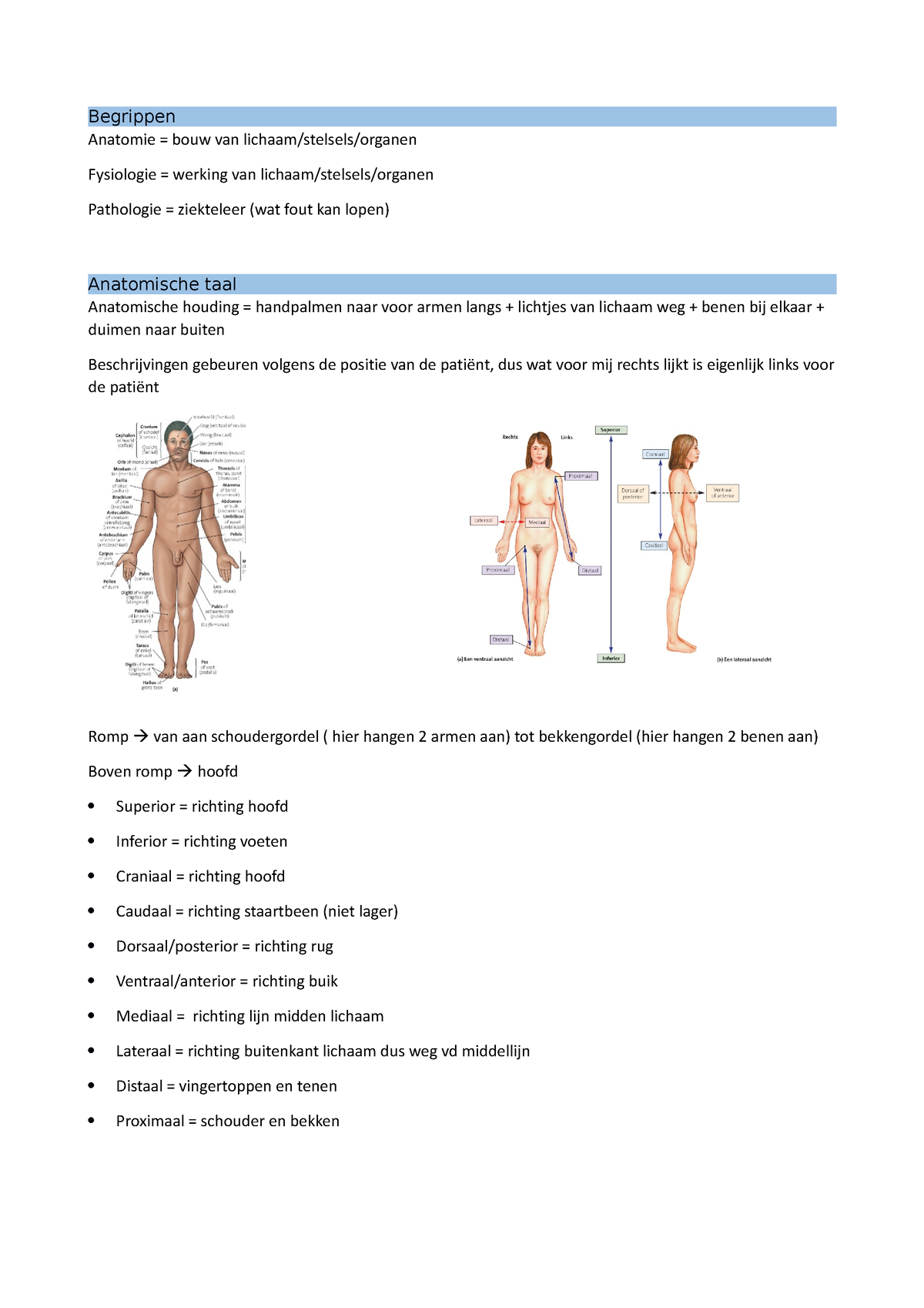 Begrippen En Homeostase - Begrippen Anatomie = Bouw Van Lichaam ...