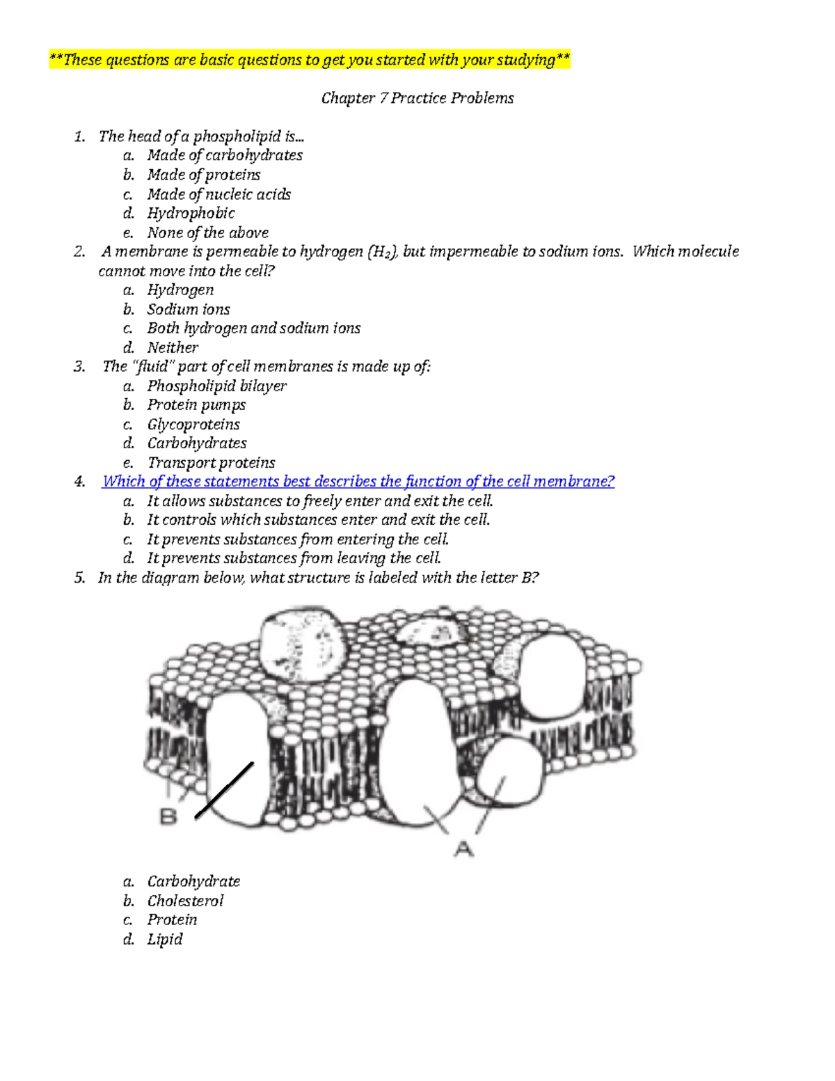 Chapter 7 Practice Questions - These Questions Are Basic Questions To ...