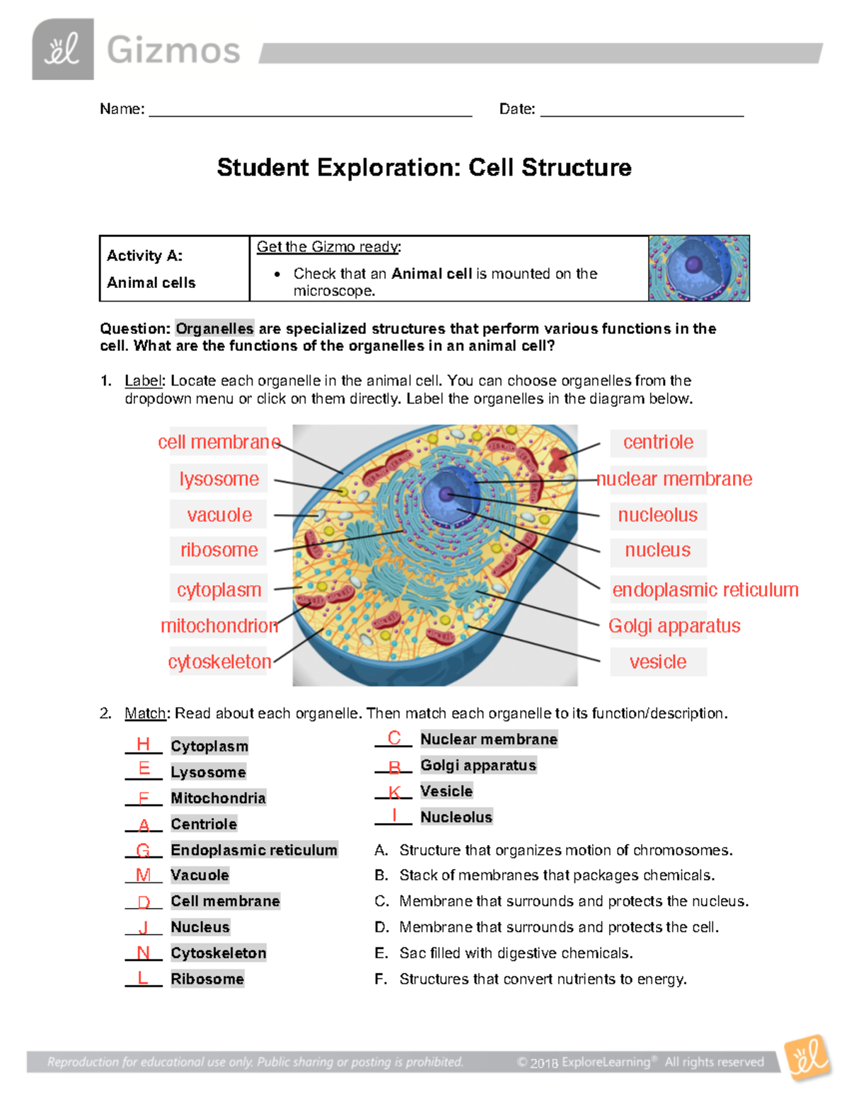 Cell Structure Gizmo - anwser - 2018 Name ...