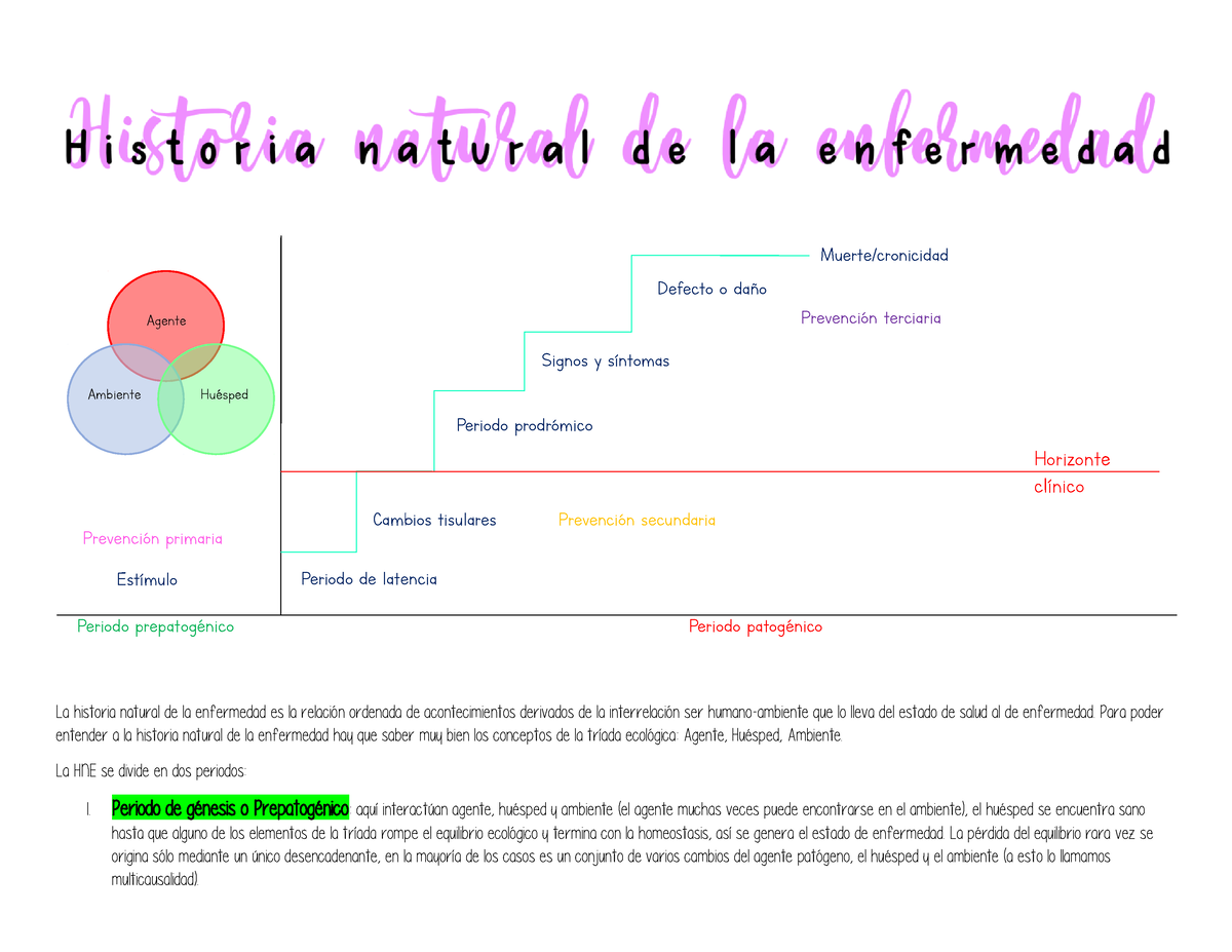 Historia Natural De La Enfermedad - Para Poder Entender A La Historia ...