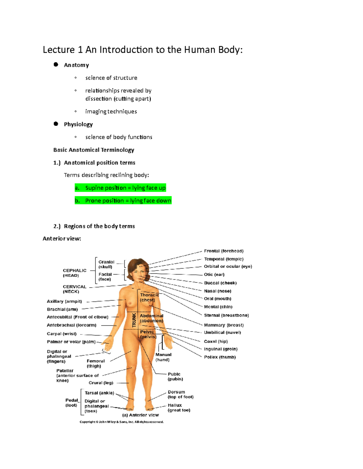 Lec 1 anatomy - Lecture 1 study notes - Lecture 1 An Introduction to ...