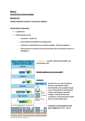 BM212 Lecture 3 - BM212 - Strath - Studocu