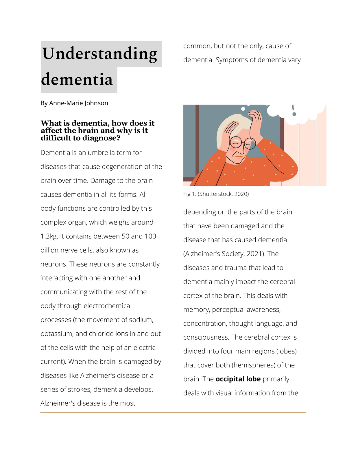 understanding dementia assignment