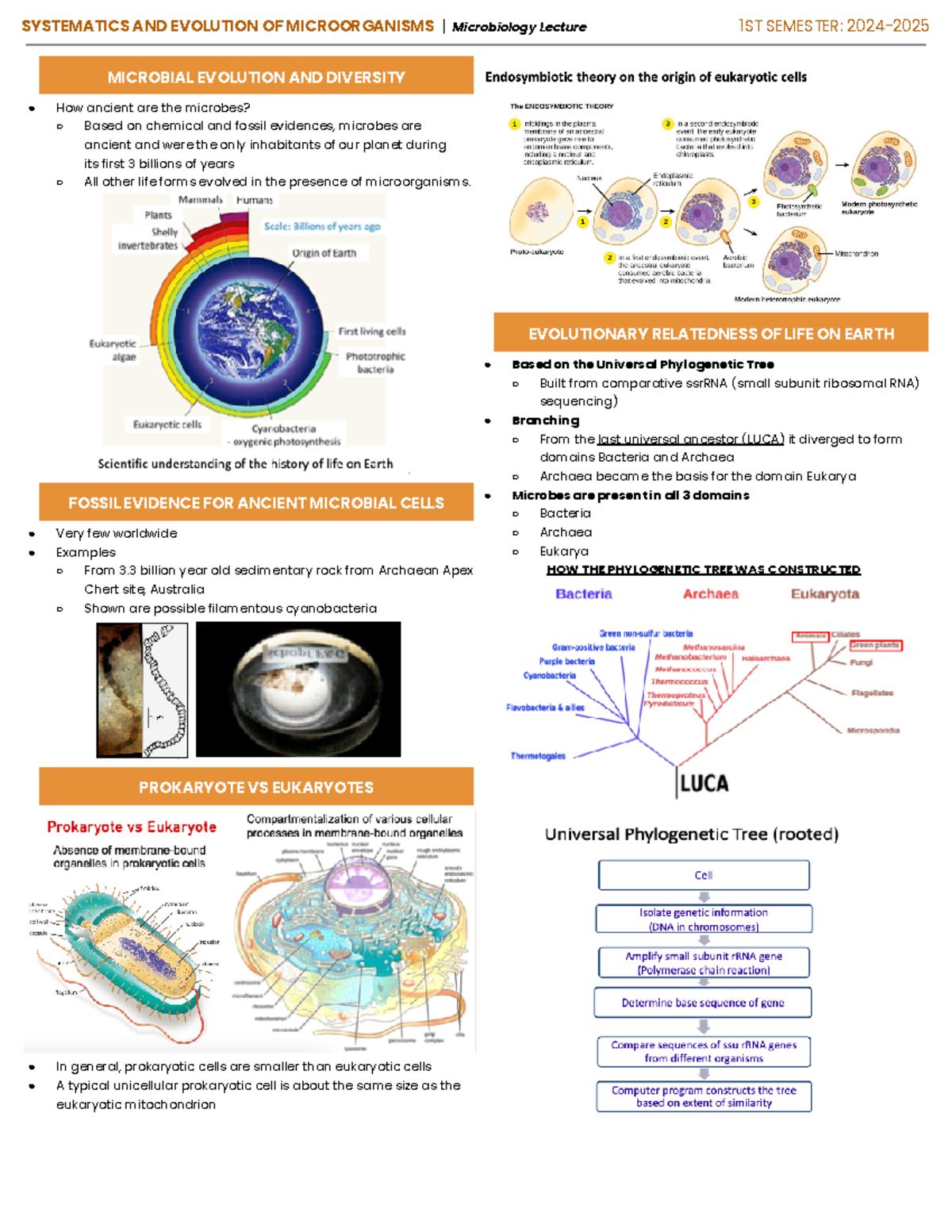 Microlec Systematics AND Evolution OF Microorganisms - MICROBIAL ...