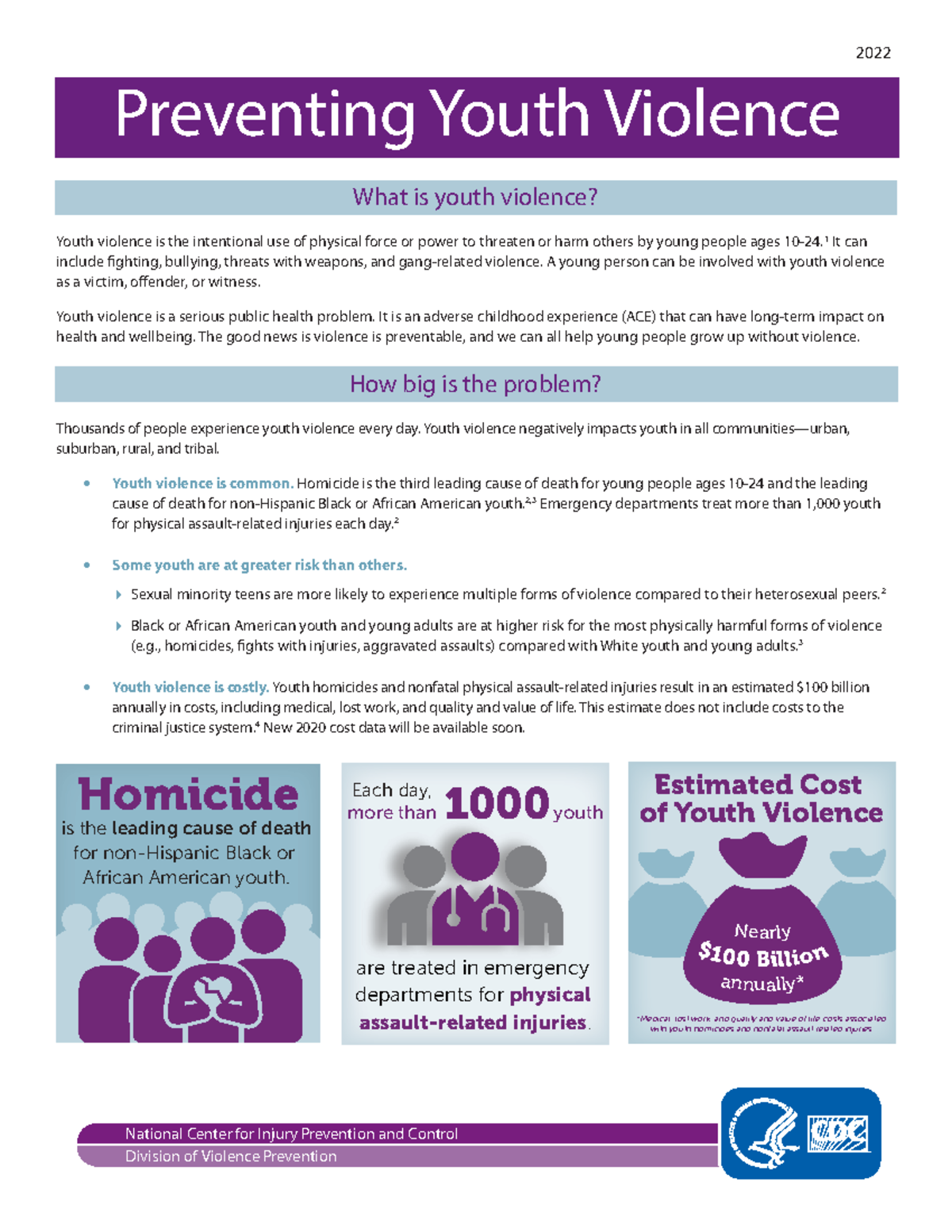 Youth violence fact sheet - Preventing Youth Violence 2022 What is ...