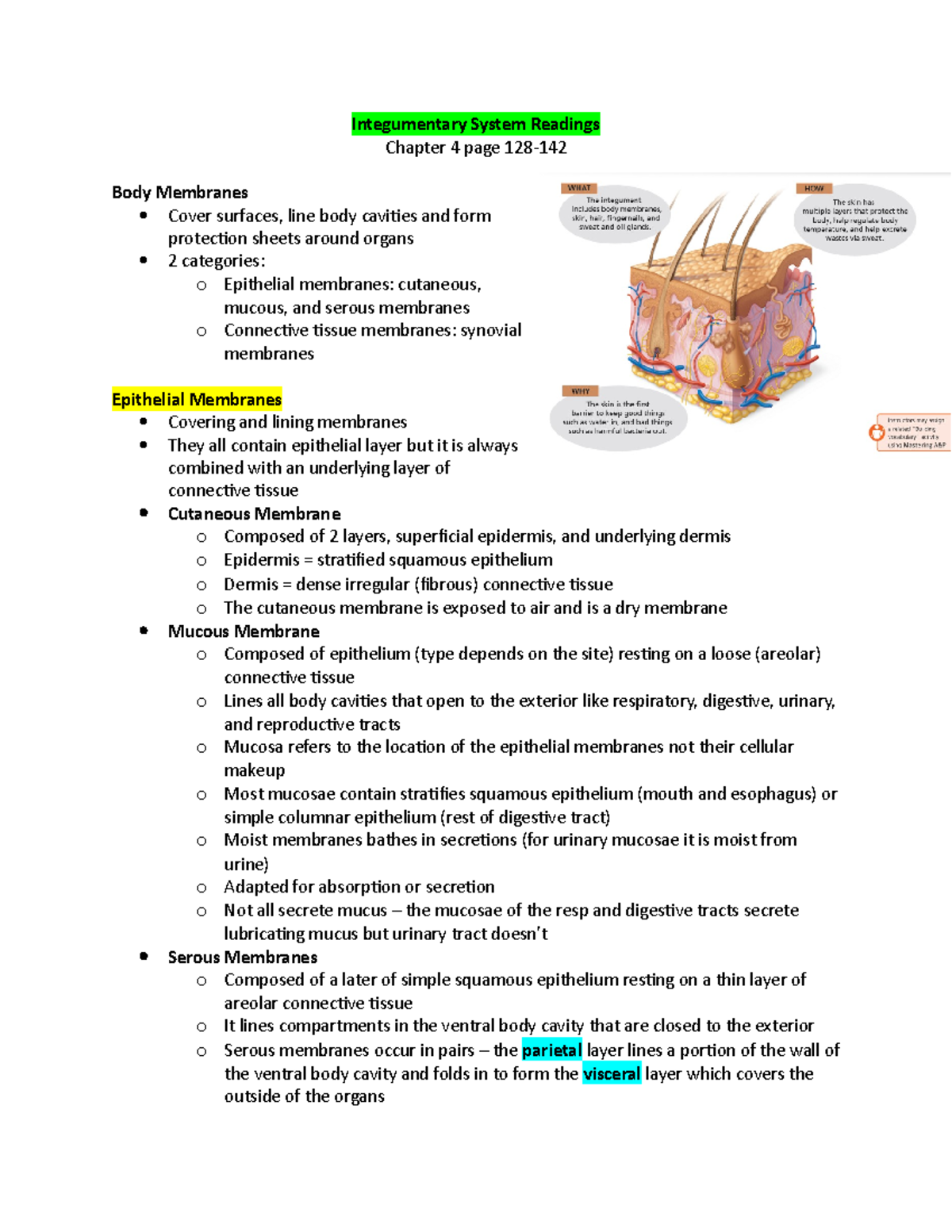 Week 4 Integumentary System Readings - Integumentary System Readings ...