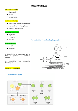 Chapitre 4 : Le Marquage Des Acides Nucléiques 1- – FPKM