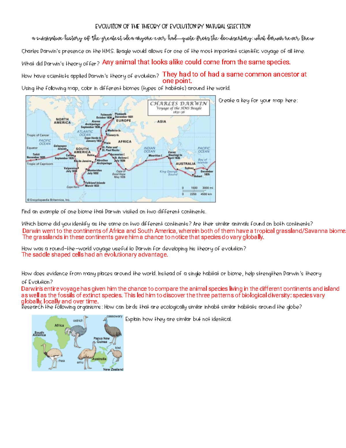 Kami Export   Evolution Of The Theory Of Evolution By Natural Selection