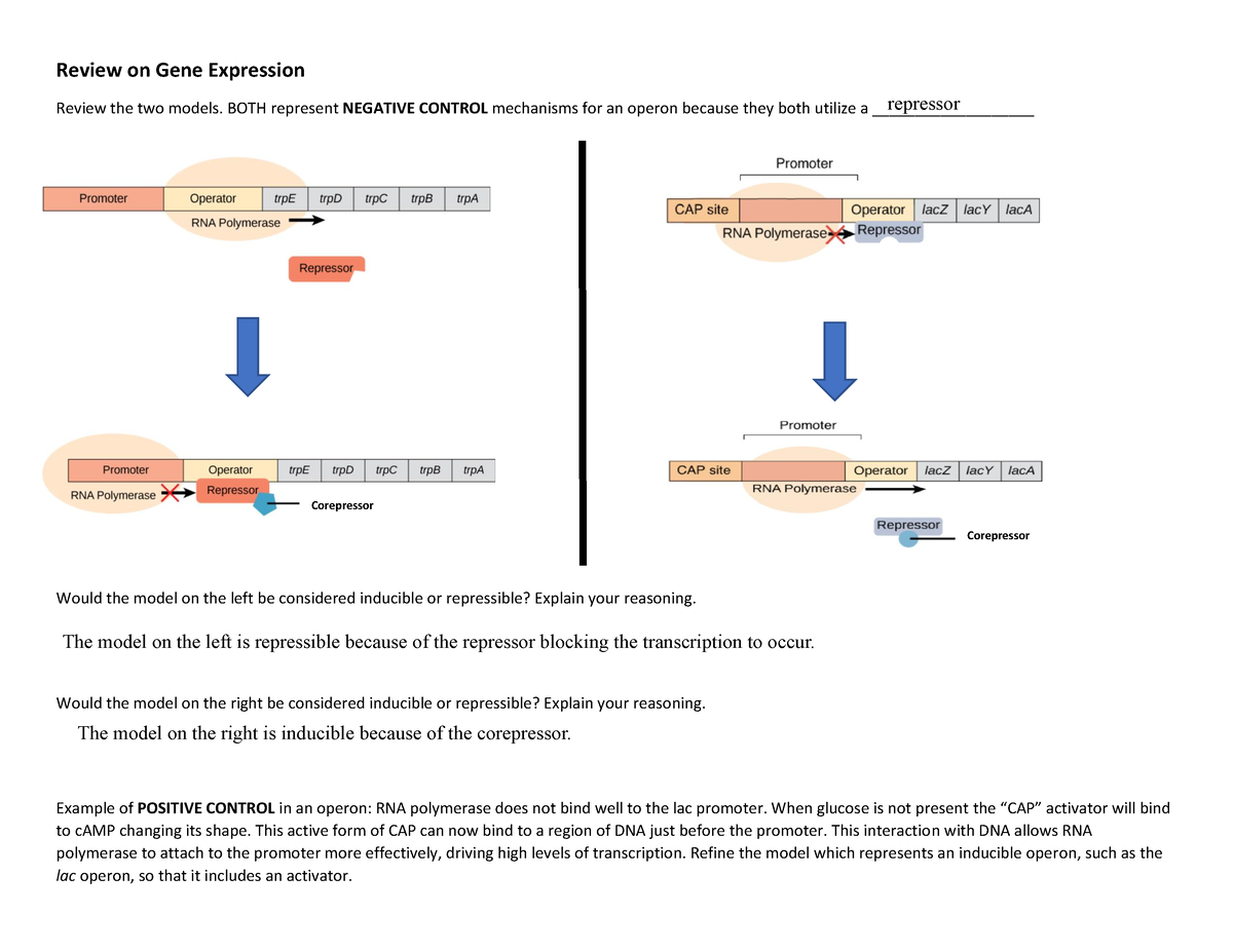 literature review on gene expression