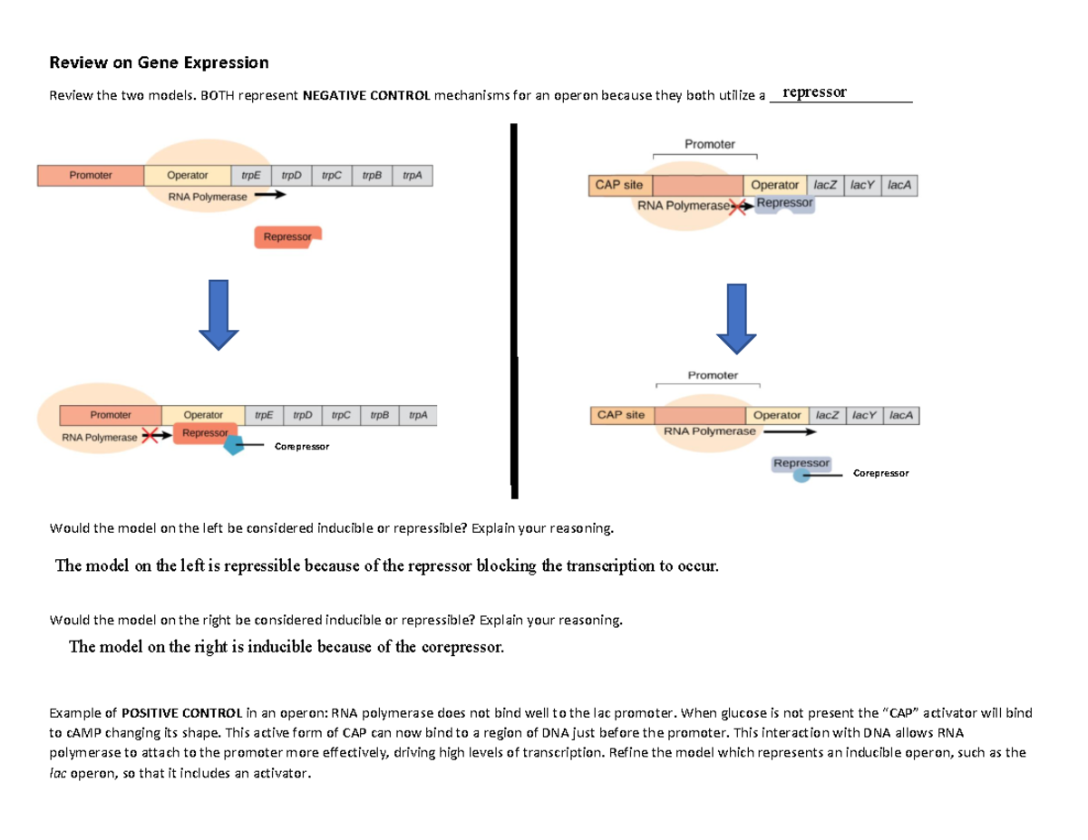 literature review on gene expression