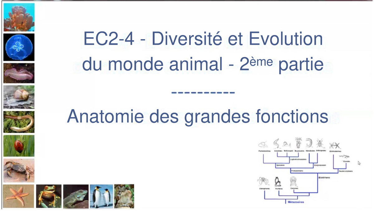 Diversit -animale-complet - EC2- 4 - Diversité Et Evolution Du Monde ...