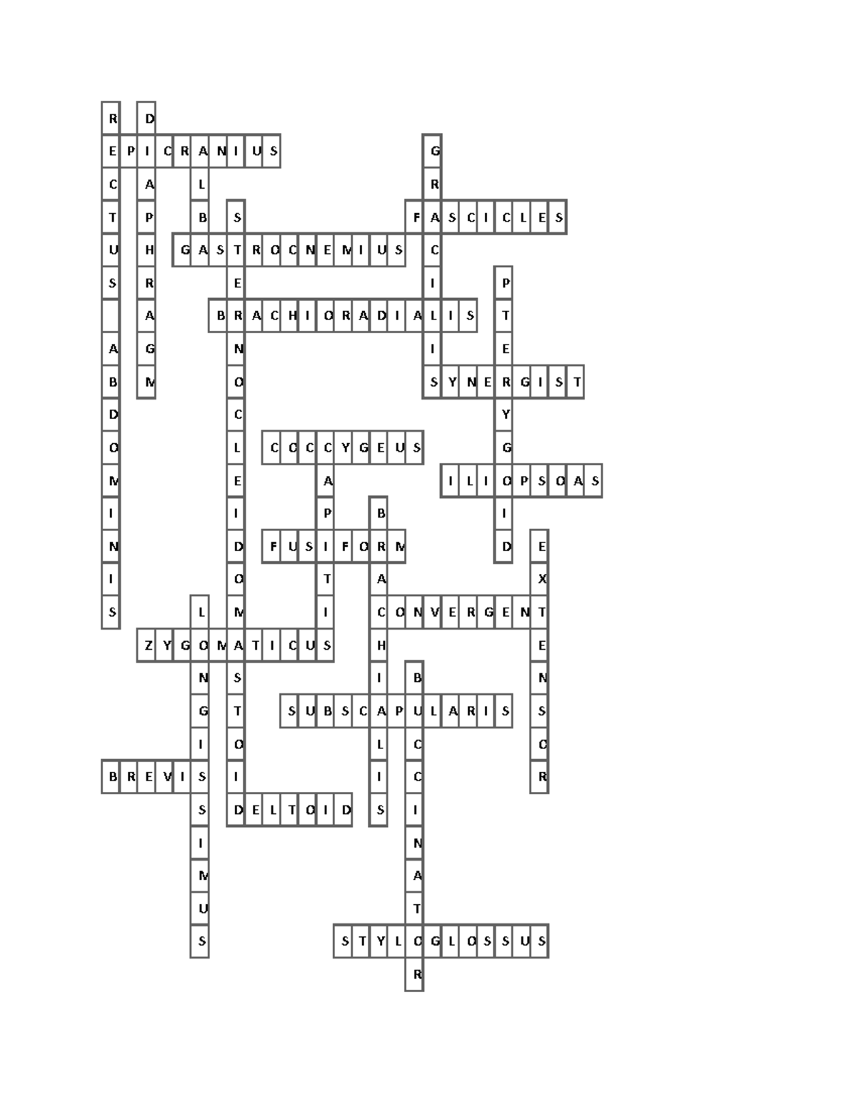 crossword-2-r-d-e-p-i-c-r-a-n-i-u-s-g-c-a-l-r-t-p-b-s-f-a-s-c-i-c-l-e