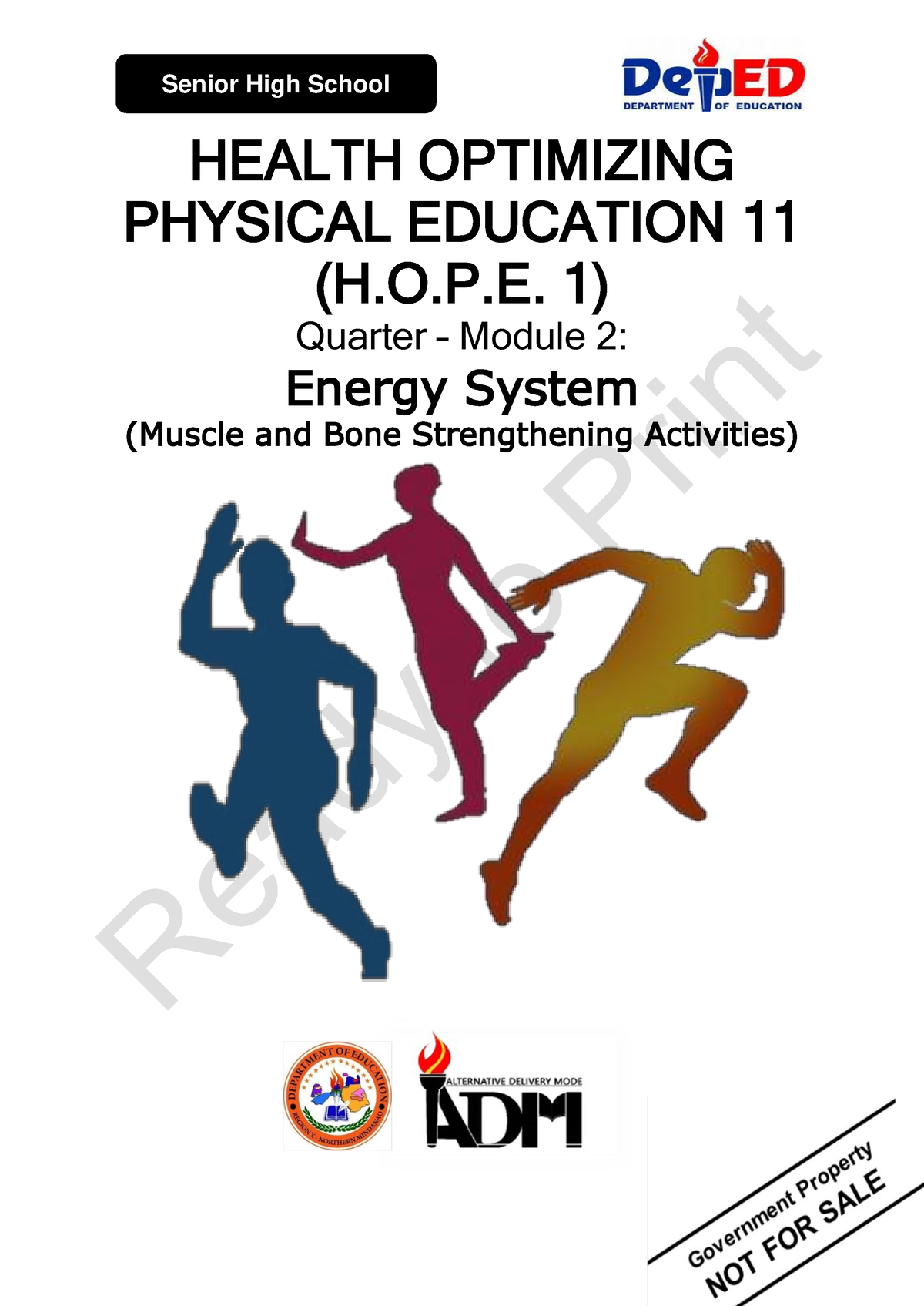 HOPE11 Q1 Mod2 Energysystem V5 - HEALTH OPTIMIZING PHYSICAL EDUCATION ...